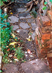 Path in front of Millennium Shed, November 1998.
