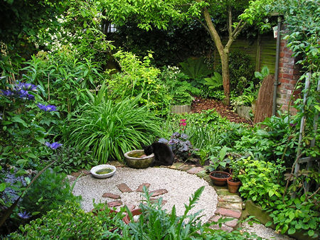 Garden view, 17 May 2007