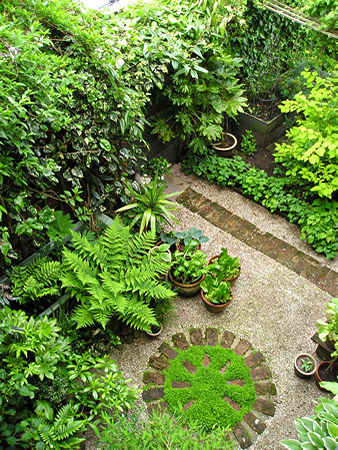 Garden view - Kitchen Corner, 17 May 2007