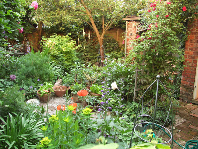 Garden view - 17 June 2008