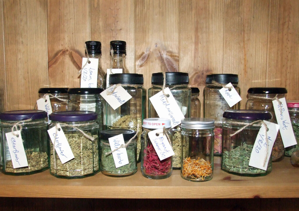 Jars on shelf, dried plants and leaves
